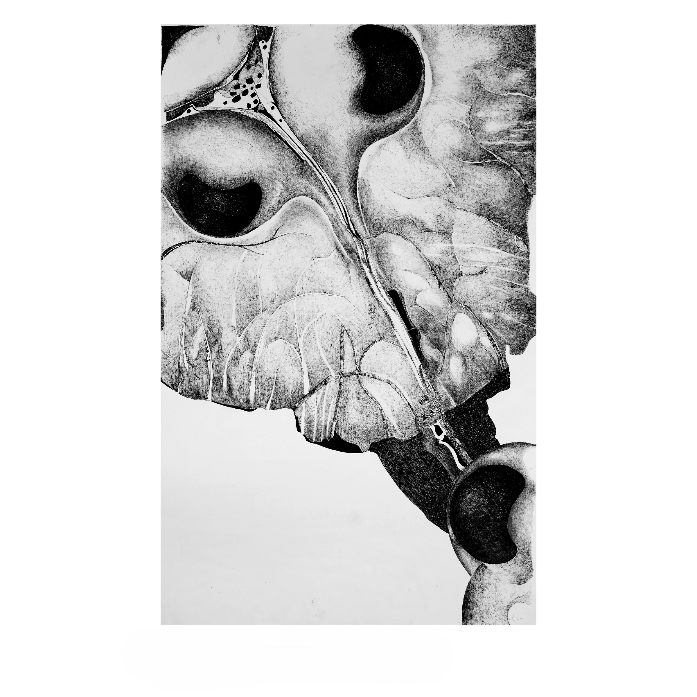 Artwork 1